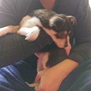 Meet your Posher, Dallas